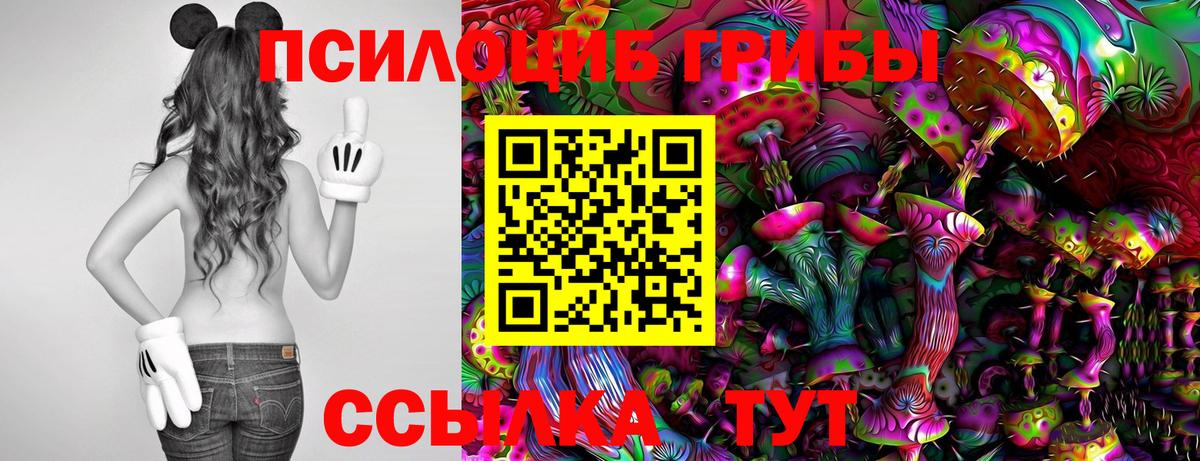 Новочебоксарск  Псилоцибиновые грибы Psilocybe  Галлюциногенные грибы Cubensis  Вход с VPN 